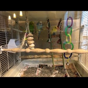 Meet your Posher, Carole